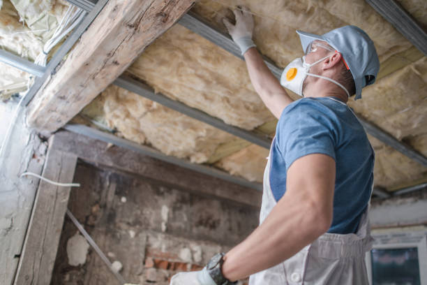 Best Geographic-Specific Insulation Services in Reynoldsburg, OH